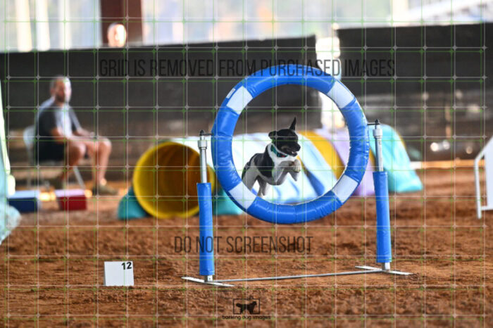 Gnarly_Robinson_Thursday_Masters_Jumping_Heat_244_LB_2801