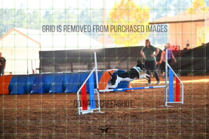 Gnarly_Robinson_Thursday_Masters_Jumping_Heat_244_LB_2809