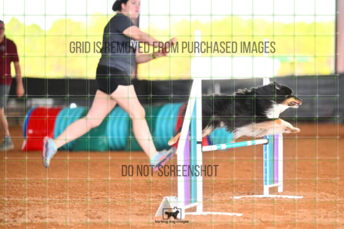 Goal_Angel_Friday_MastersJumpingFinal_240_LB_3955