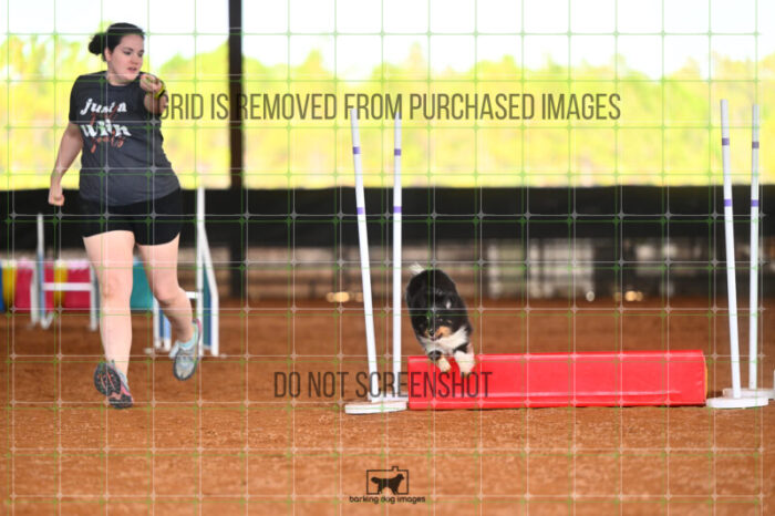 Goal_Angel_Friday_MastersJumpingFinal_240_LB_3962
