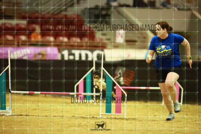 Goal_Angel_Ring_3_Wednesday_Speedstakes_Semi_Final_267_VW_5885