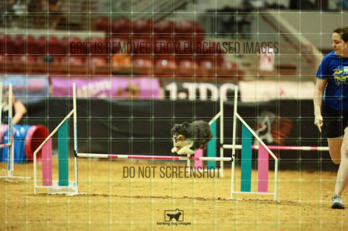 Goal_Angel_Ring_3_Wednesday_Speedstakes_Semi_Final_267_VW_5886