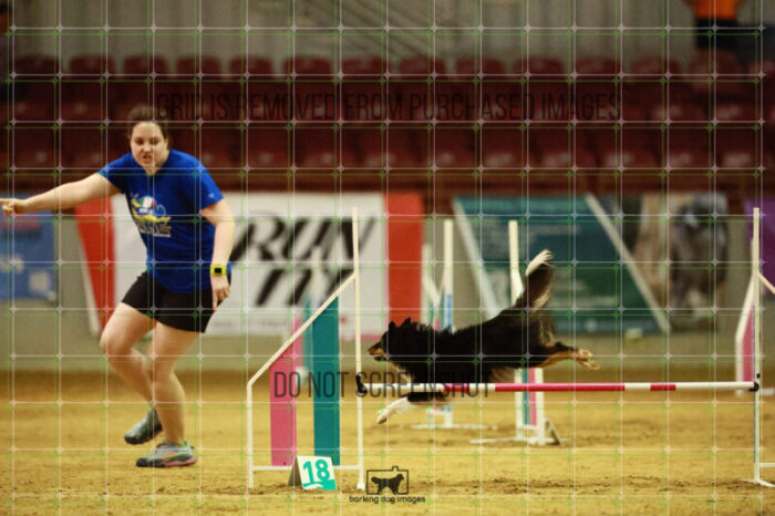 Goal_Angel_Ring_3_Wednesday_Speedstakes_Semi_Final_267_VW_5910