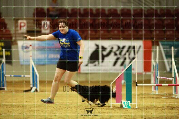Goal_Angel_Ring_3_Wednesday_Speedstakes_Semi_Final_267_VW_5913