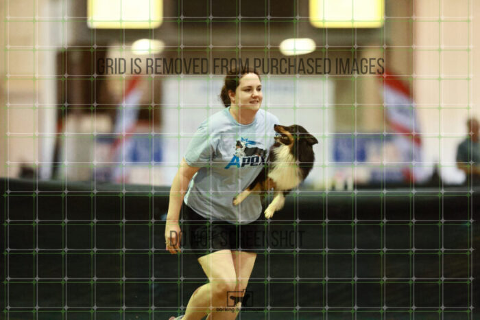 Goal_Angel_Saturday_OpenAgility_177_VW_3070