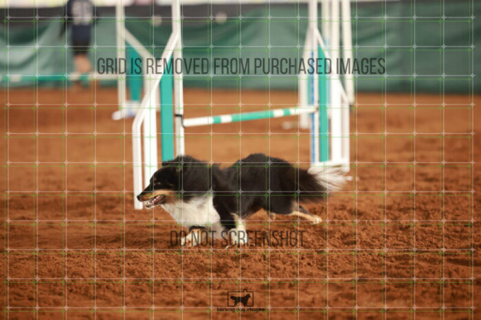 Goal_Angel_Sunday_Challenger_148_RR_8174