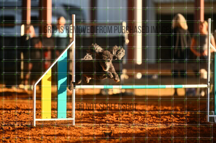 Kahuna_Mello_Friday_MastersJumpingFinal_117_LB_0470