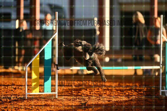 Kahuna_Mello_Friday_MastersJumpingFinal_117_LB_0471