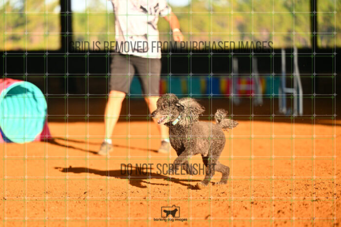Kahuna_Mello_Friday_MastersJumpingFinal_117_LB_0485