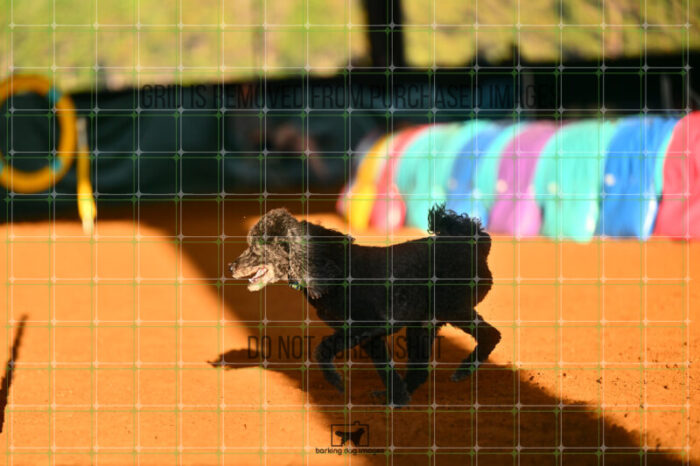 Kahuna_Mello_Friday_MastersJumpingFinal_117_LB_0492