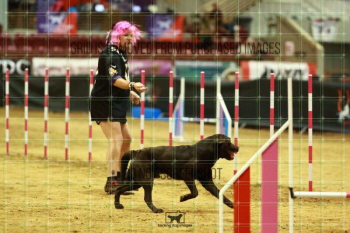 Lance_Taura_Friday_MastersAgilityFinal_110_NH_0348