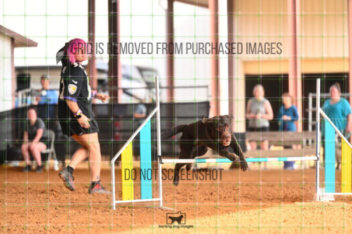 Lance_Taura_Friday_MastersJumpingFinal_224_LB_3505