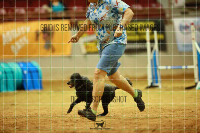 Kahuna_Mello_Ring_3_Wednesday_Speedstakes_Semi_Final_151_VW_2197