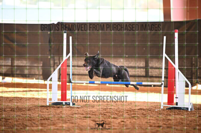Lance_Taura_Saturday_WTAJumping_246_KG_5749