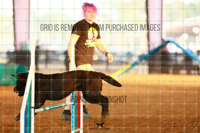 Lance_Taura_Wednesday_Round_1_Agility_128_JC_5062