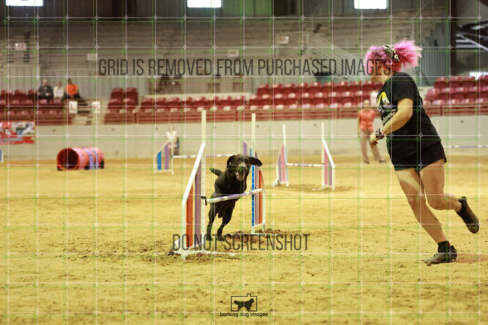 Lance_Taura_Wednesday_Speedstakes_Semi_Final_207_RR_4171