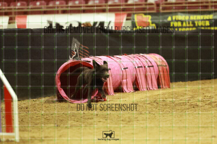 Lance_Taura_Wednesday_Speedstakes_Semi_Final_207_RR_4180