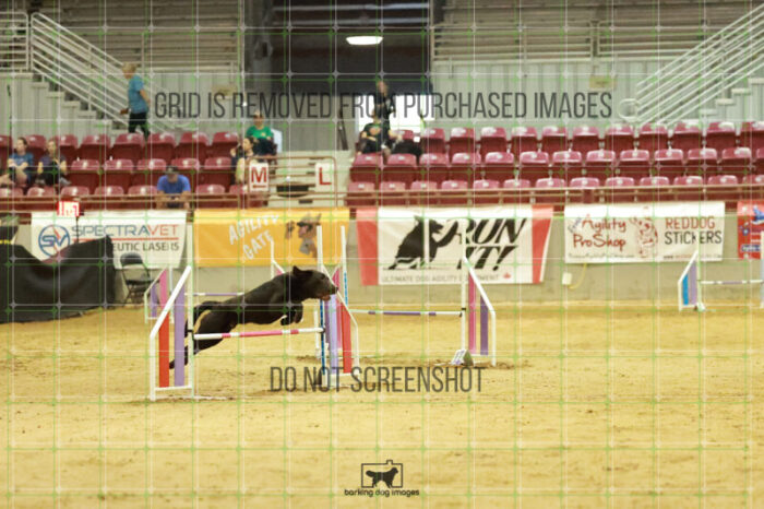 Lance_Taura_Wednesday_Speedstakes_Semi_Final_207_RR_4184