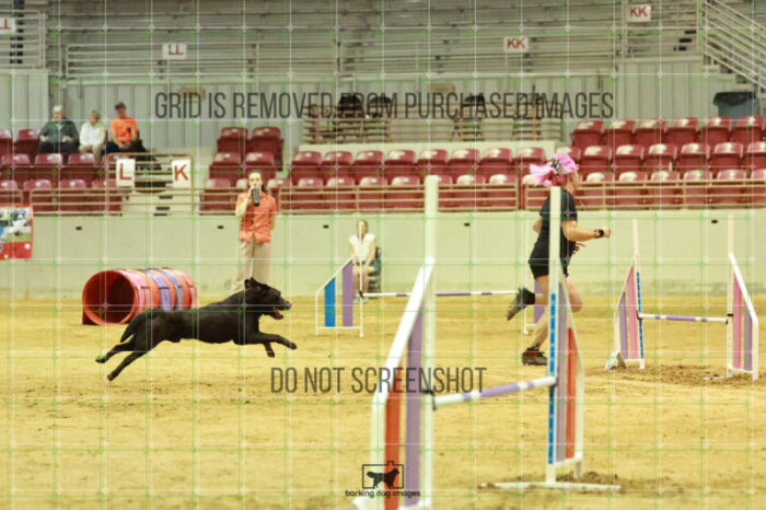 Lance_Taura_Wednesday_Speedstakes_Semi_Final_207_RR_4192