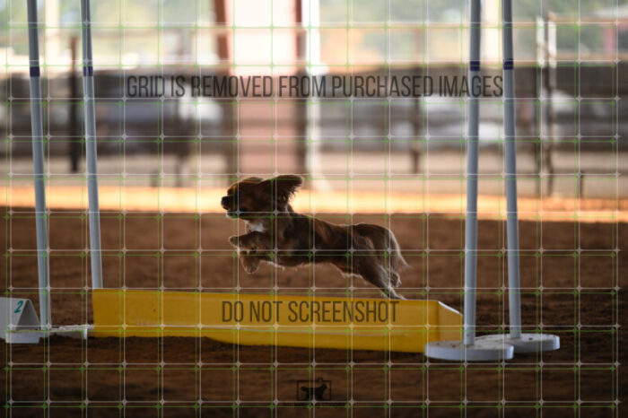 Pagnee_Onstott_Saturday_WTAJumping_133_2_AS_1453