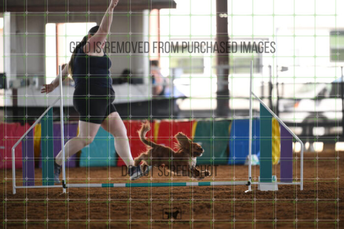 Pagnee_Onstott_Saturday_WTAJumping_133_2_AS_1463