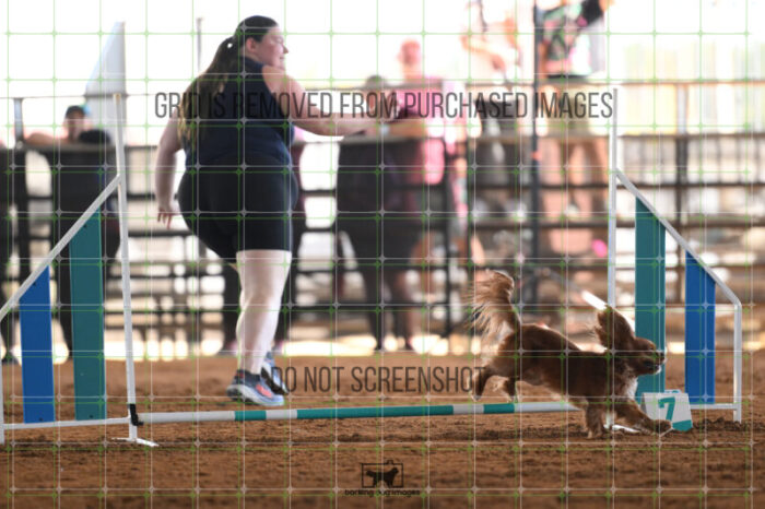 Pagnee_Onstott_Saturday_WTAJumping_133_2_AS_1503