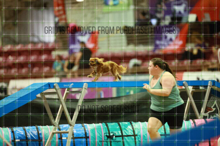 Pagnee_Onstott_Thursday_Masters_Agility_Heat_246_SH_5918