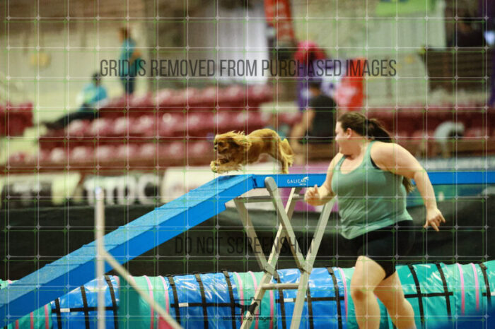 Pagnee_Onstott_Thursday_Masters_Agility_Heat_246_SH_5923