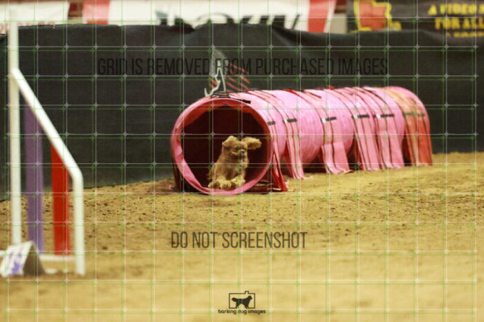 Pagnee_Onstott_Wednesday_Speedstakes_Semi_Final_290_RR_7240