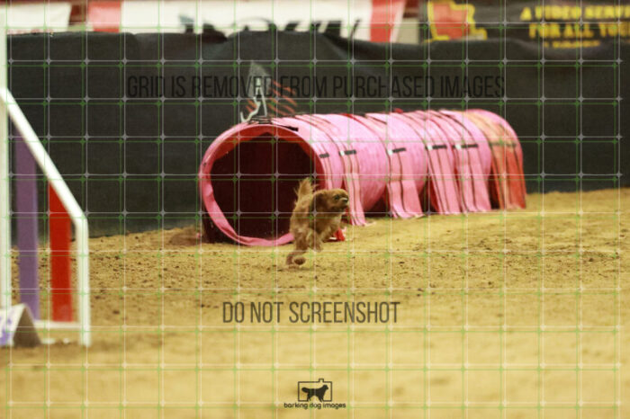 Pagnee_Onstott_Wednesday_Speedstakes_Semi_Final_290_RR_7243