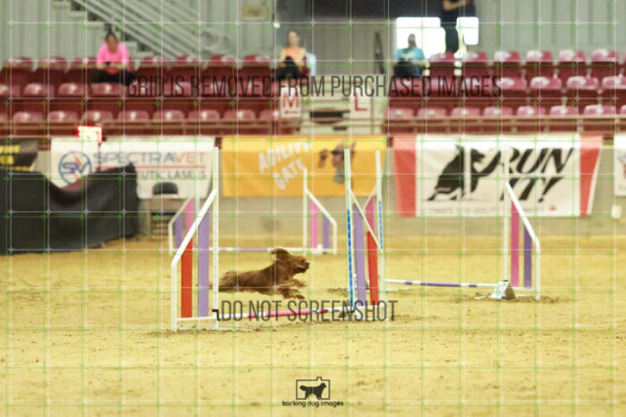 Pagnee_Onstott_Wednesday_Speedstakes_Semi_Final_290_RR_7247