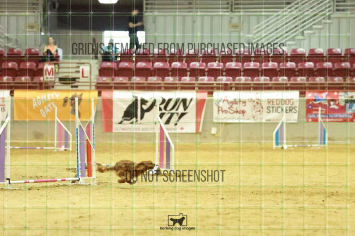 Pagnee_Onstott_Wednesday_Speedstakes_Semi_Final_290_RR_7250