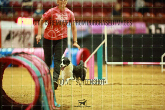 Lanna_Polazzi_Ring_3_Wednesday_Speedstakes_Semi_Final_157_VW_2361