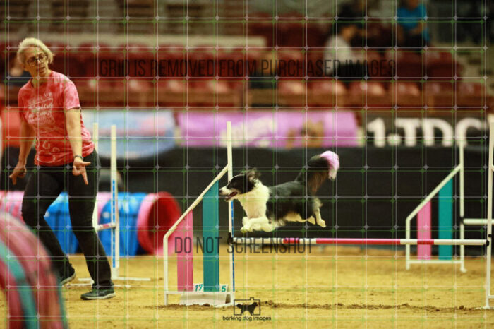 Lanna_Polazzi_Ring_3_Wednesday_Speedstakes_Semi_Final_157_VW_2370