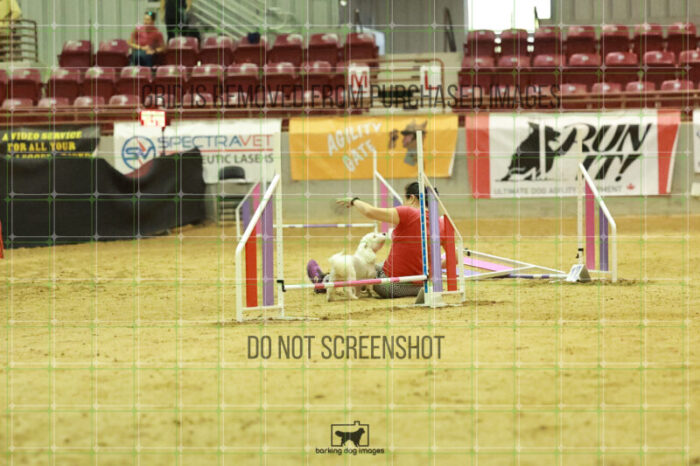 Jack-Jack_Ryan_Wednesday_Speedstakes_Semi_Final_261_RR_6208