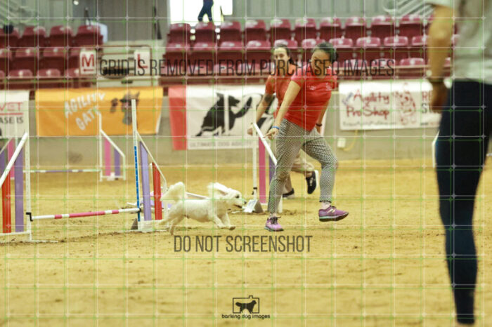 Jack-Jack_Ryan_Wednesday_Speedstakes_Semi_Final_261_RR_6213