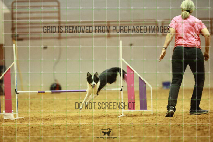 Lanna_Polazzi_Round_1_Agility_150_KO_7128