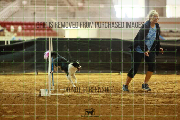 Lanna_Polazzi_Thursday_Masters_Agility_Heat_109_SH_0483