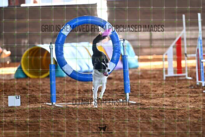 Lanna_Polazzi_Thursday_Masters_Jumping_Heat_181_LB_1641
