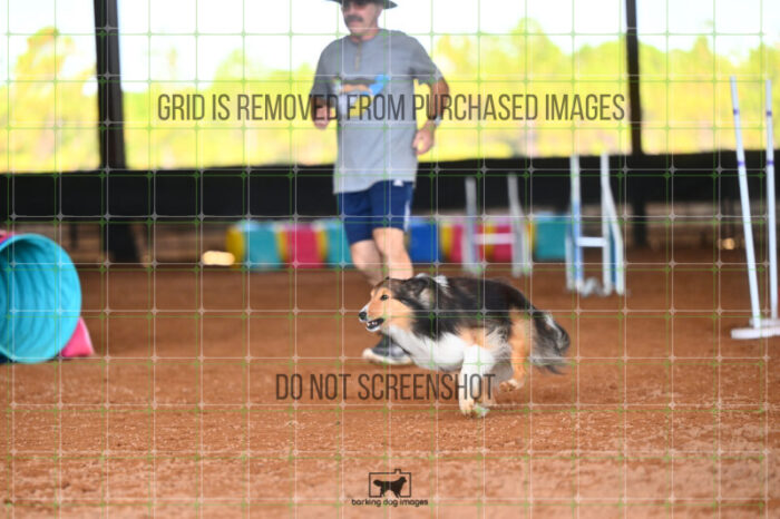 Jackpot_Arnett_Friday_MastersJumpingFinal_197_LB_2745