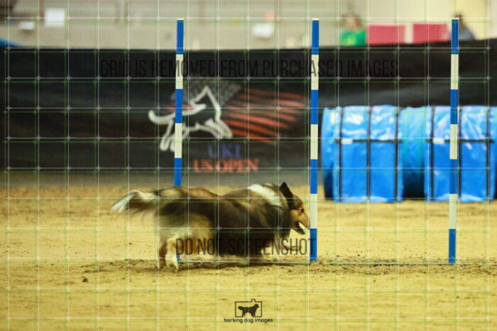 Jackpot_Arnett_Friday_Round2Jumping_123_KO_8931