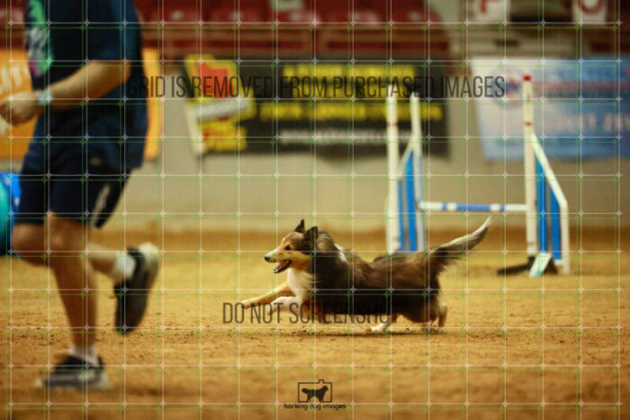 Jackpot_Arnett_Ring_3_Wednesday_Speedstakes_Semi_Final_230_VW_4749