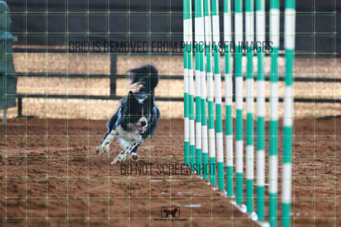 Kane_Yogerst_Ring_5_Saturday_WTAJumping_253_JC_4655