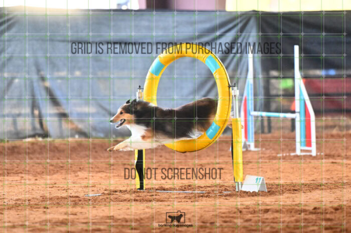 Jackpot_Arnett_Saturday_WTAJumping_154_LB_1569