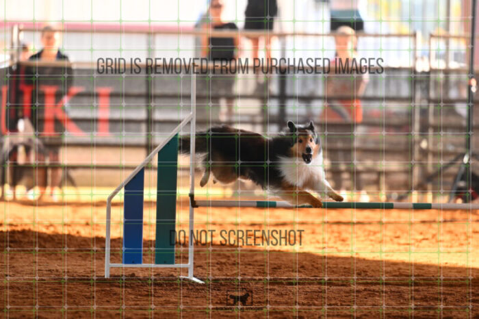 Jackpot_Arnett_Saturday_WTAJumping_154_LB_1584