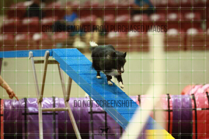 Legendary_Vickers_Round_1_Agility_142_KO_6884