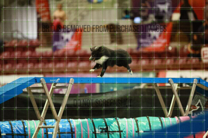 Legendary_Vickers_Thursday_Masters_Agility_Heat_152_SH_2304