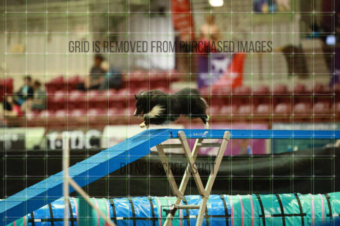Legendary_Vickers_Thursday_Masters_Agility_Heat_152_SH_2308