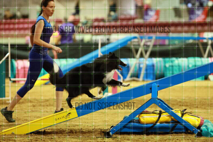 Legendary_Vickers_Thursday_Masters_Agility_Heat_152_SH_2324