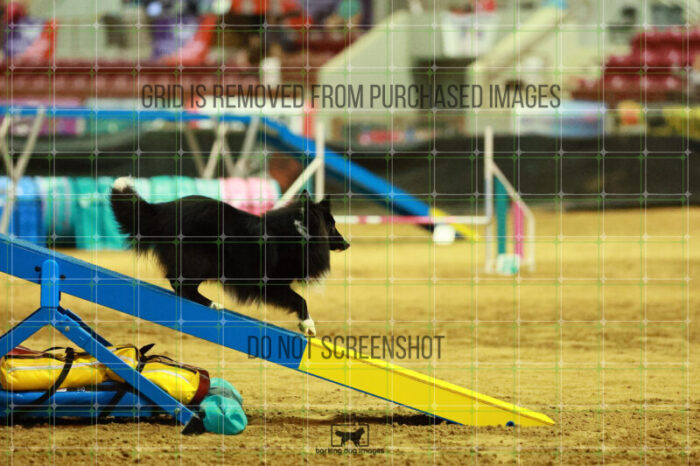 Legendary_Vickers_Thursday_Masters_Agility_Heat_152_SH_2339